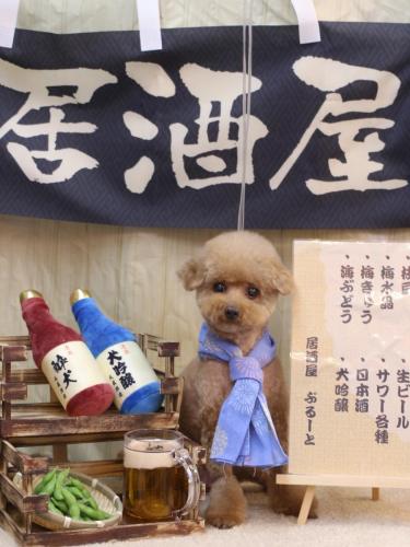 20240619ノアちゃん